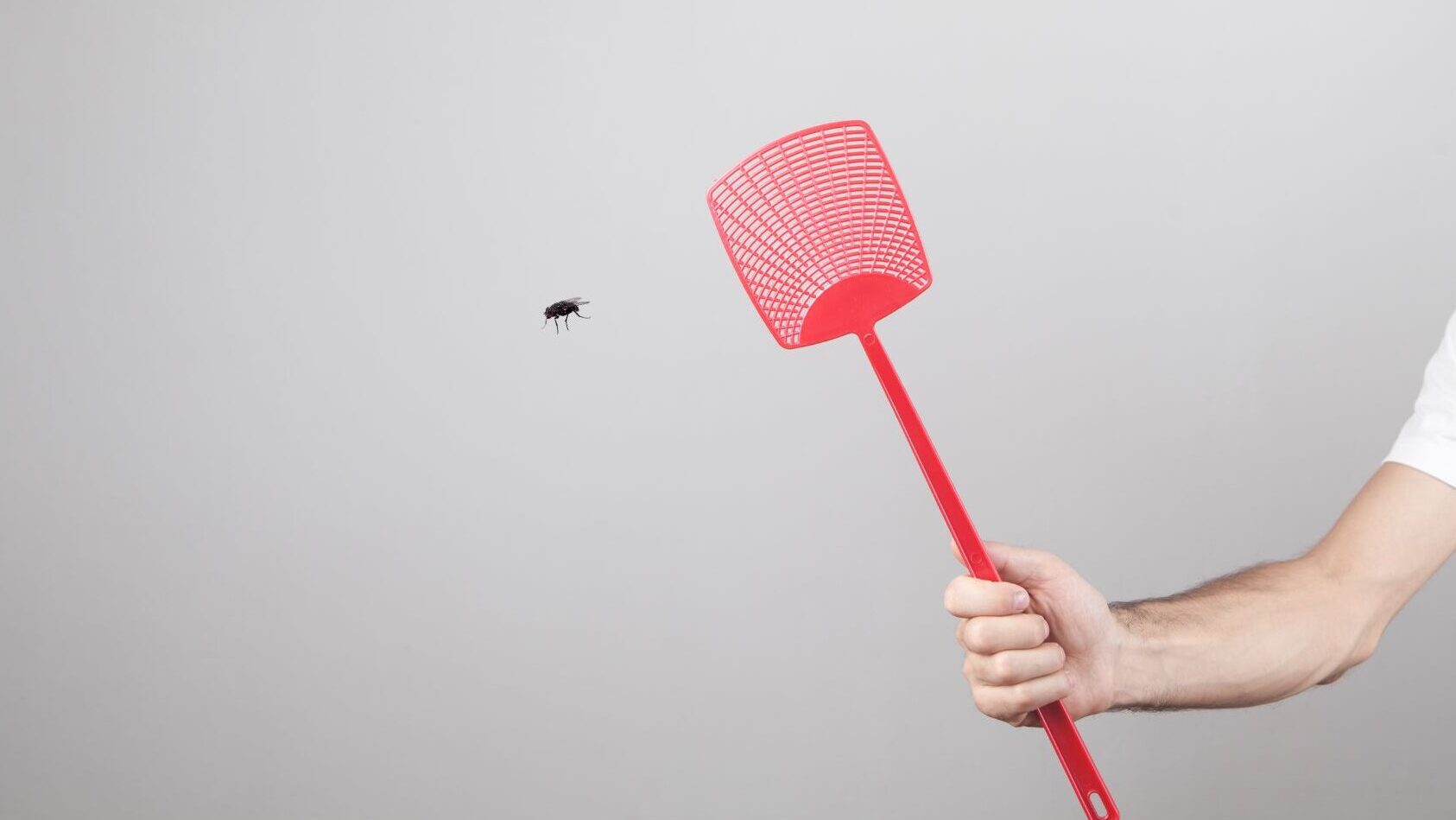 Person swatting a fly